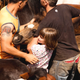 Image for article titled To Cut The Hair Of Beasts